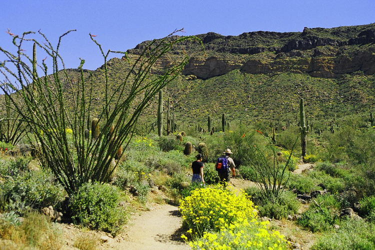 People enjoying outdoor activities such as hiking, walking, and biking across the MAG region during cooler temperatures