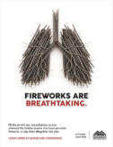 Flyer – Sparklers lungs