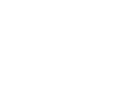 Public Input Report